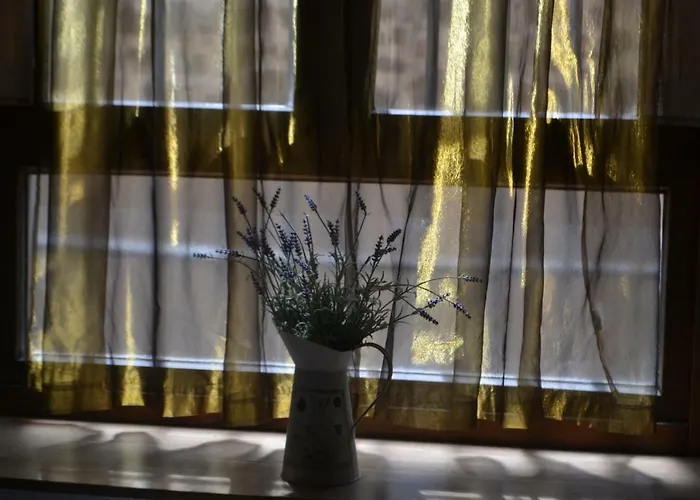 Santa Clara * Toledo