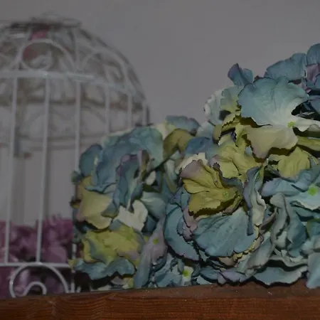 Santa Clara Apartment Toledo