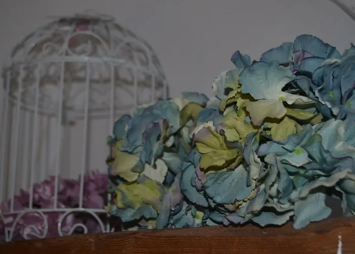 Santa Clara Apartmán Toledo